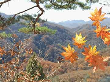 电视剧热榜：《大海道》倒数，《流水迢迢》第三，第一不配！