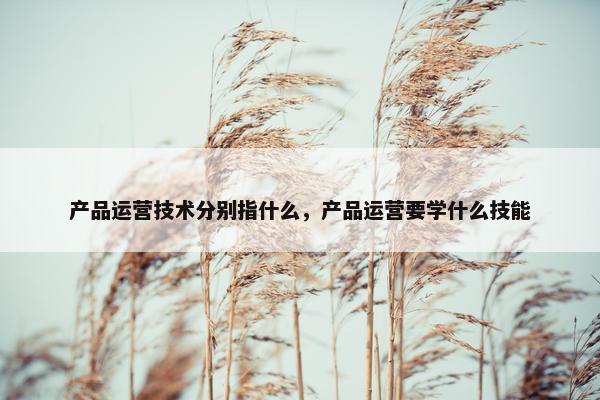 产品运营技术分别指什么，产品运营要学什么技能