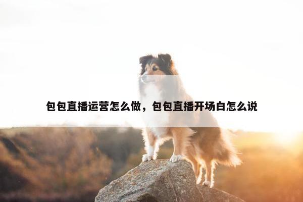 包包直播运营怎么做，包包直播开场白怎么说