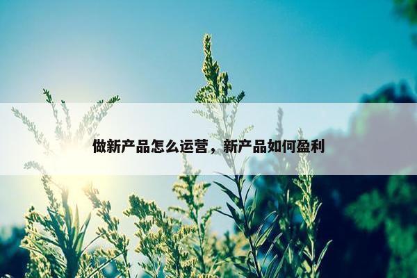 做新产品怎么运营，新产品如何盈利