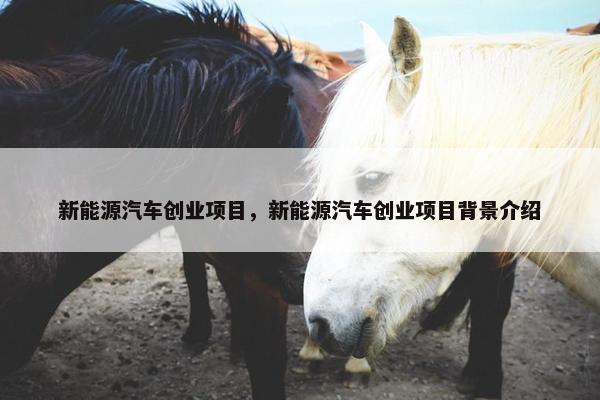 新能源汽车创业项目，新能源汽车创业项目背景介绍