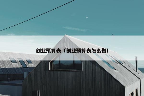 创业预算表（创业预算表怎么做）