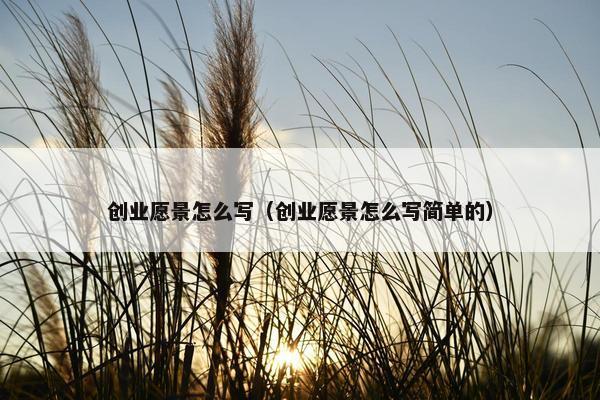 创业愿景怎么写（创业愿景怎么写简单的）