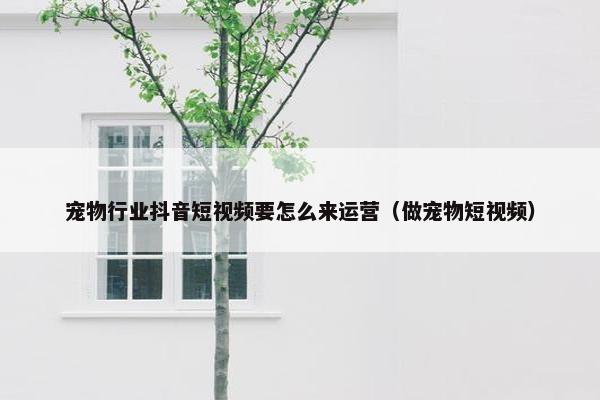 宠物行业抖音短视频要怎么来运营（做宠物短视频）