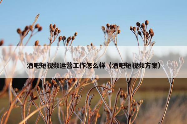 酒吧短视频运营工作怎么样（酒吧短视频方案）