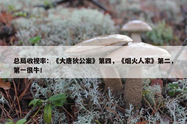 总局收视率：《大唐狄公案》第四，《烟火人家》第二，第一很牛！