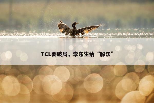 TCL要破局，李东生给“解法”