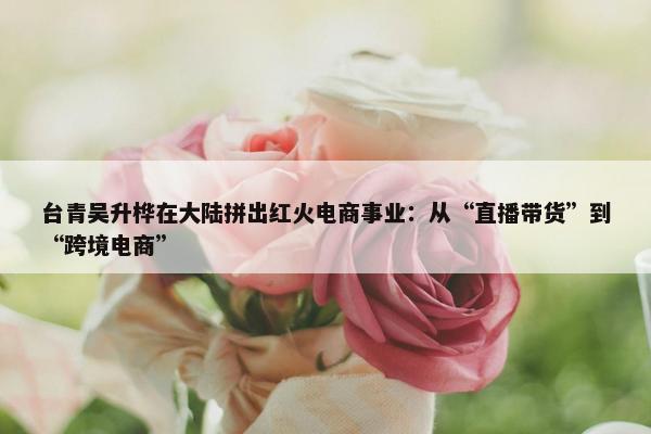 台青吴升桦在大陆拼出红火电商事业：从“直播带货”到“跨境电商”