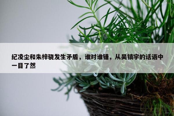 纪凌尘和朱梓骁发生矛盾，谁对谁错，从吴镇宇的话语中一目了然