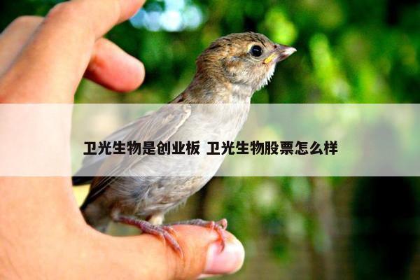 卫光生物是创业板 卫光生物股票怎么样