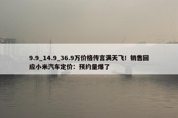 9.9_14.9_36.9万价格传言满天飞！销售回应小米汽车定价：预约量爆了