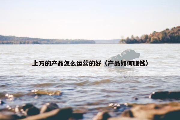 上万的产品怎么运营的好（产品如何赚钱）