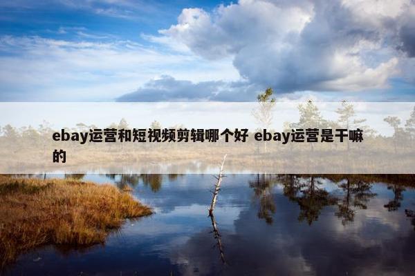 ebay运营和短视频剪辑哪个好 ebay运营是干嘛的