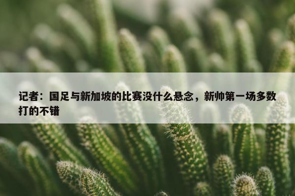 记者：国足与新加坡的比赛没什么悬念，新帅第一场多数打的不错