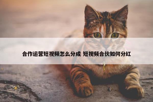 合作运营短视频怎么分成 短视频合伙如何分红