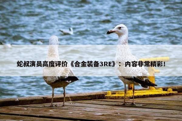 蛇叔演员高度评价《合金装备3RE》：内容非常精彩！