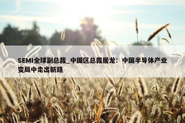 SEMI全球副总裁_中国区总裁居龙：中国半导体产业变局中走出新路