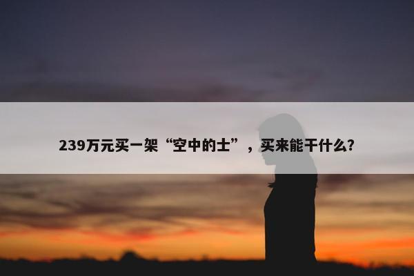 239万元买一架“空中的士”，买来能干什么？