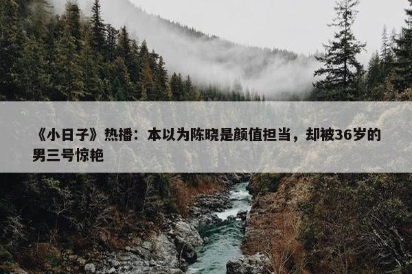 《小日子》热播：本以为陈晓是颜值担当，却被36岁的男三号惊艳