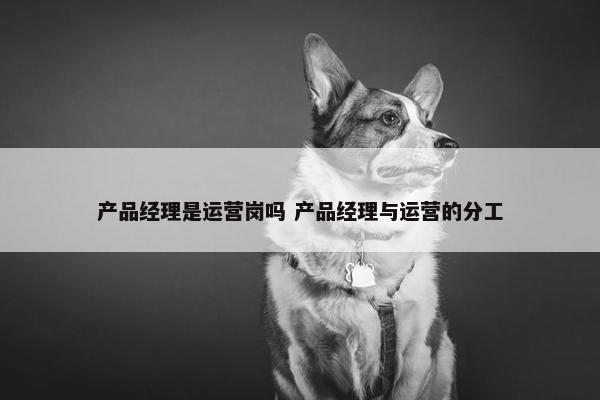 产品经理是运营岗吗 产品经理与运营的分工