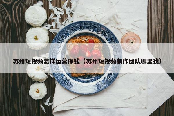 苏州短视频怎样运营挣钱（苏州短视频制作团队哪里找）