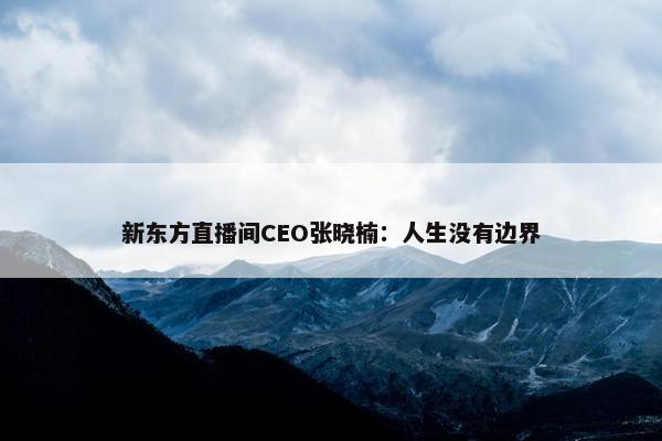 新东方直播间CEO张晓楠：人生没有边界