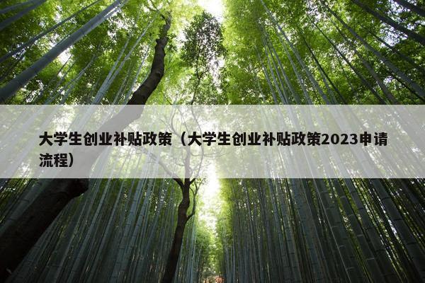 大学生创业补贴政策（大学生创业补贴政策2023申请流程）