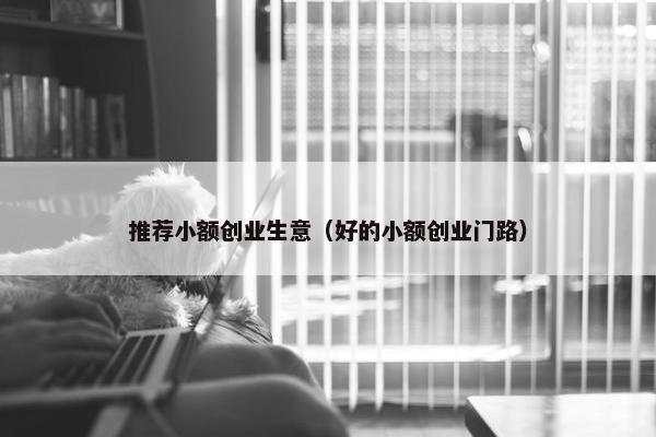 推荐小额创业生意（好的小额创业门路）