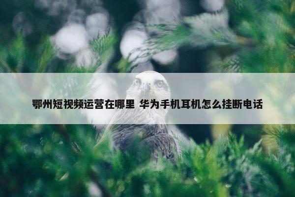 鄂州短视频运营在哪里 华为手机耳机怎么挂断电话