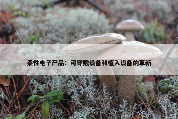 柔性电子产品：可穿戴设备和植入设备的革新