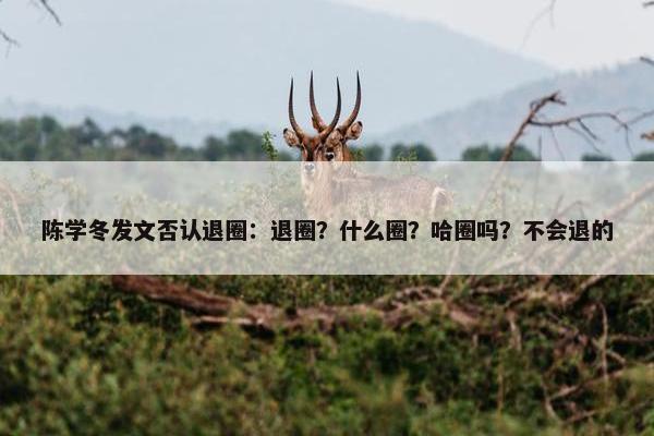 陈学冬发文否认退圈：退圈？什么圈？哈圈吗？不会退的