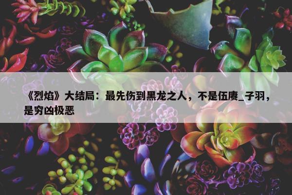 《烈焰》大结局：最先伤到黑龙之人，不是伍赓_子羽，是穷凶极恶