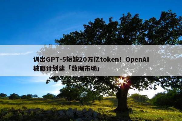 训出GPT-5短缺20万亿token！OpenAI被曝计划建「数据市场」