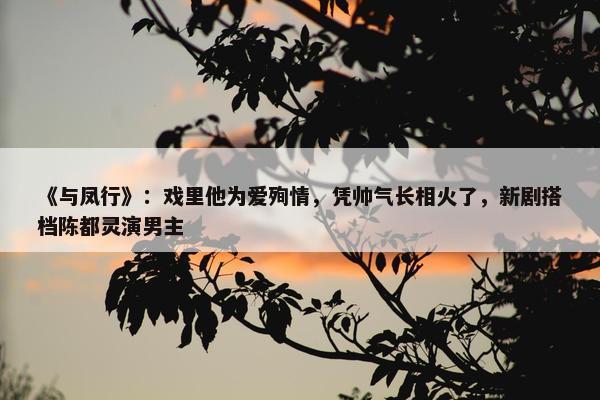 《与凤行》：戏里他为爱殉情，凭帅气长相火了，新剧搭档陈都灵演男主