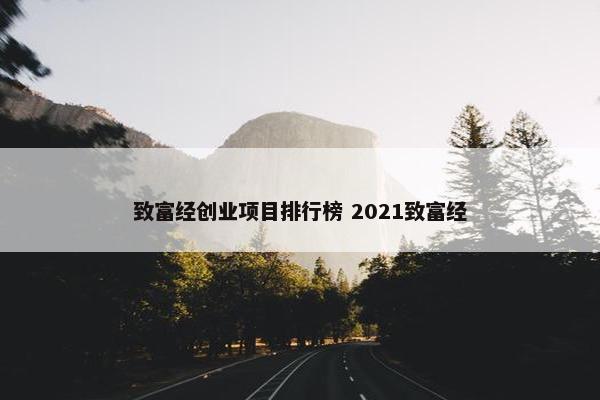 致富经创业项目排行榜 2021致富经