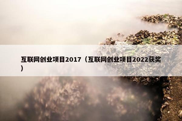 互联网创业项目2017（互联网创业项目2022获奖）