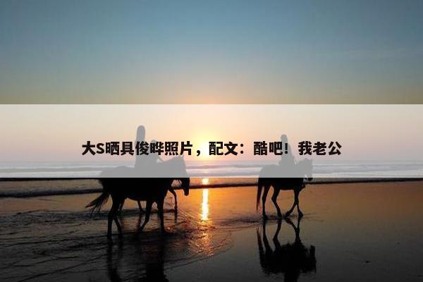 大S晒具俊晔照片，配文：酷吧！我老公