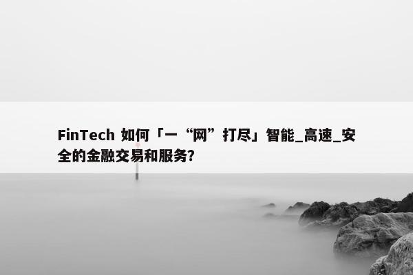 FinTech 如何「一“网”打尽」智能_高速_安全的金融交易和服务？