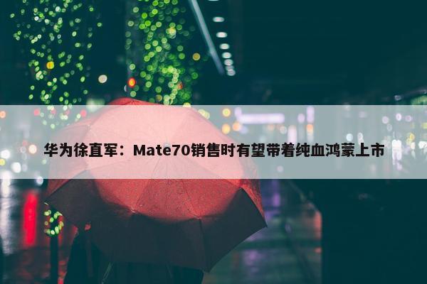 华为徐直军：Mate70销售时有望带着纯血鸿蒙上市