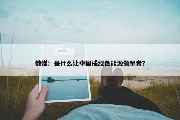 俄媒：是什么让中国成绿色能源领军者？