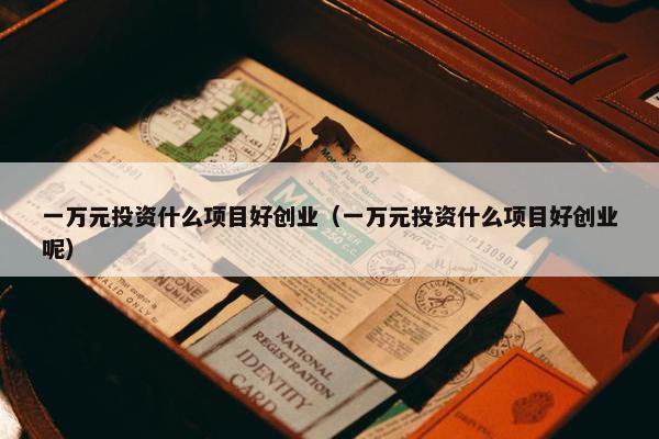 一万元投资什么项目好创业（一万元投资什么项目好创业呢）