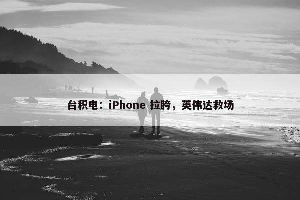 台积电：iPhone 拉胯，英伟达救场