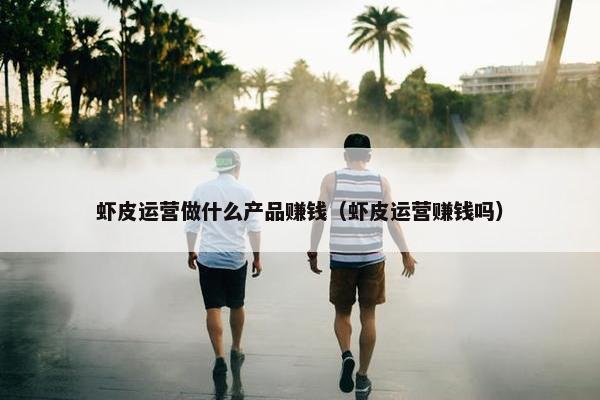 虾皮运营做什么产品赚钱（虾皮运营赚钱吗）