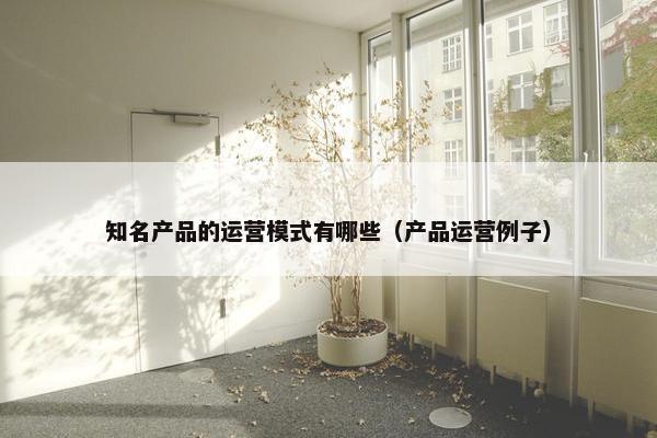 知名产品的运营模式有哪些（产品运营例子）