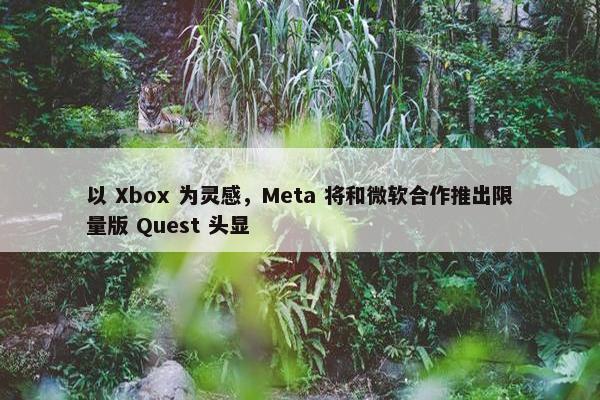 以 Xbox 为灵感，Meta 将和微软合作推出限量版 Quest 头显