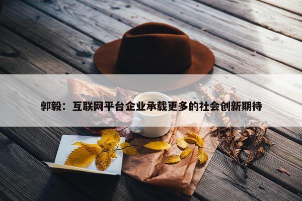 郭毅：互联网平台企业承载更多的社会创新期待