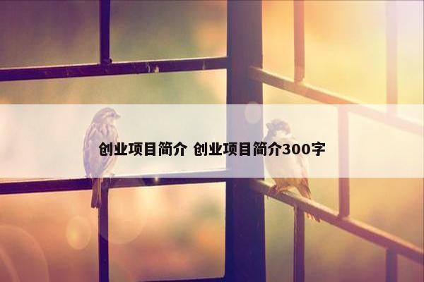 创业项目简介 创业项目简介300字