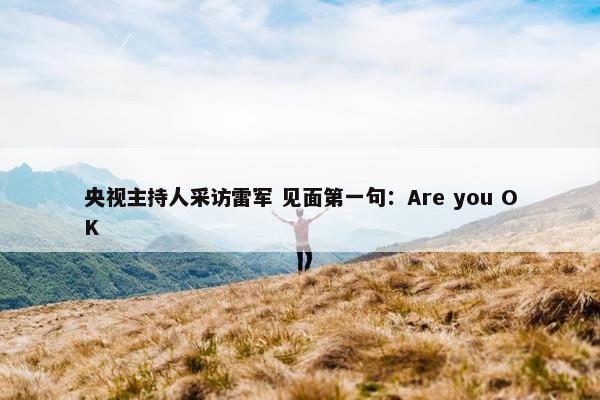 央视主持人采访雷军 见面第一句：Are you OK