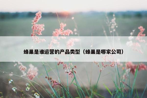 蜂巢是谁运营的产品类型（蜂巢是哪家公司）