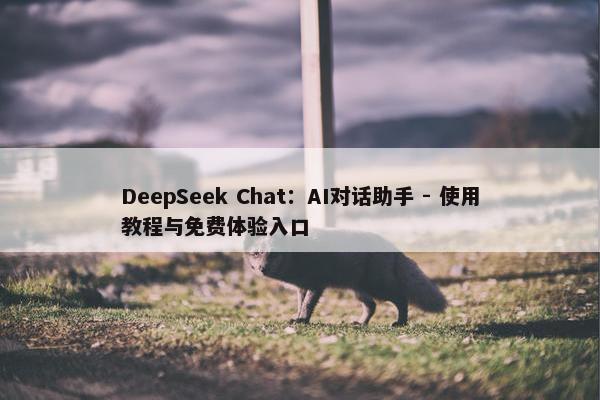 DeepSeek Chat：AI对话助手 - 使用教程与免费体验入口